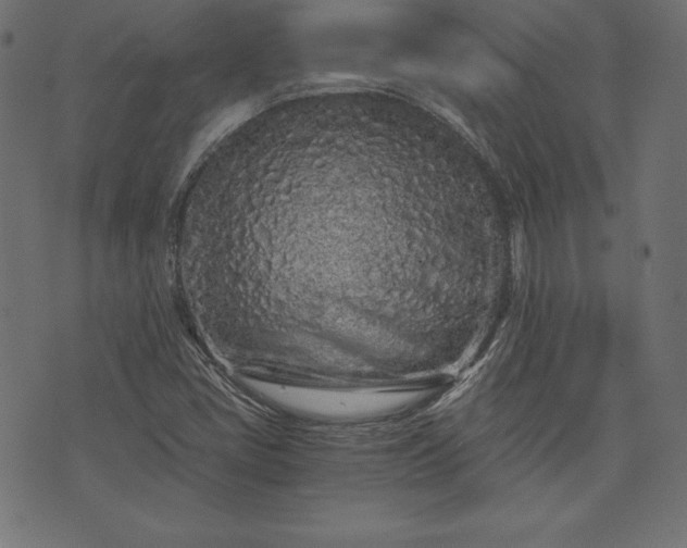 X0000073701405200608171101