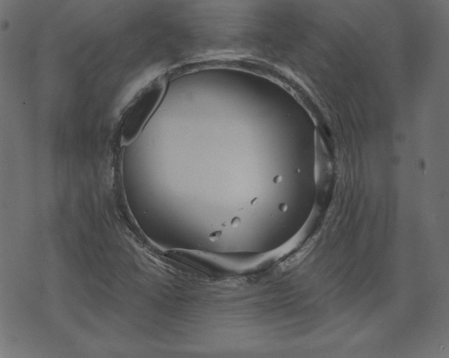 X0000073701406200608171101