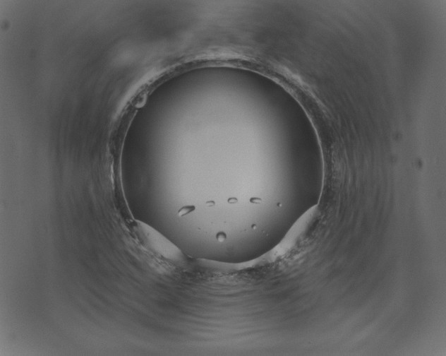 X0000073701408200608171101