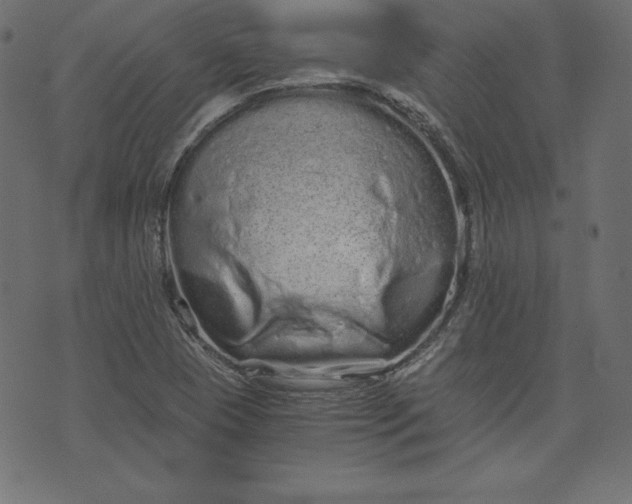 X0000073701409200608171101