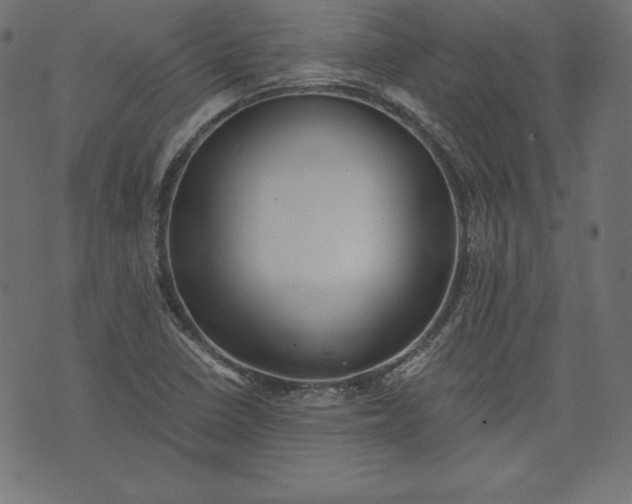 X0000073701410200608171101