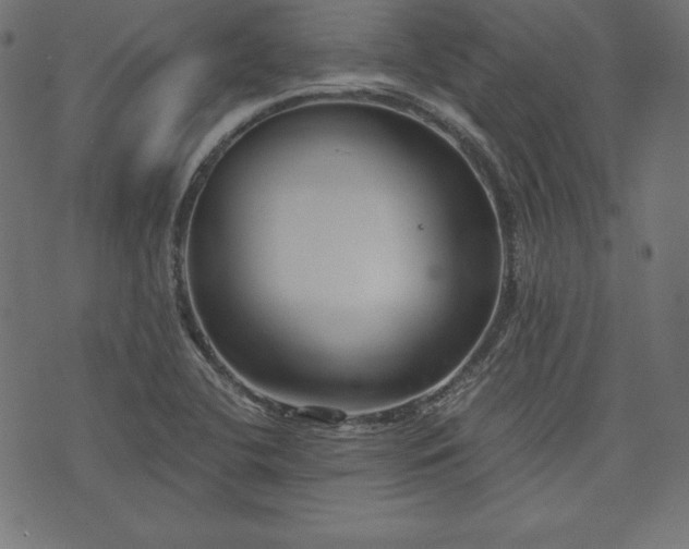 X0000073701412200608171101