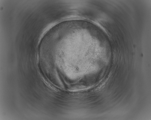 X0000073701413200608171101