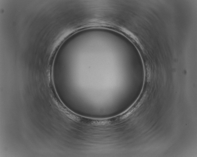 X0000073701415200608171101