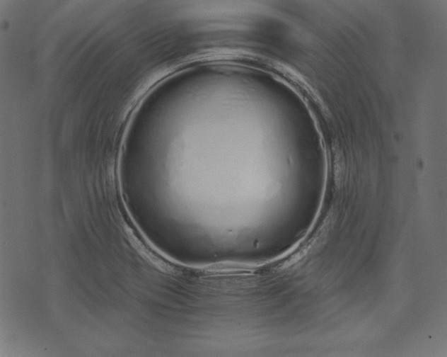 X0000073701417200608171101