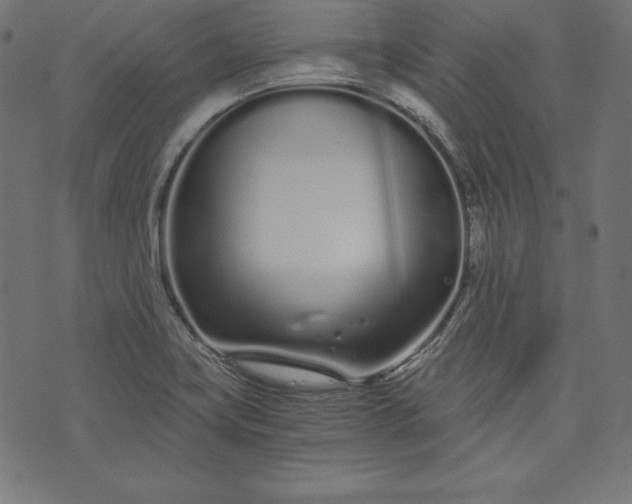 X0000073701419200608171101