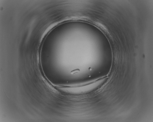 X0000073701420200608171101