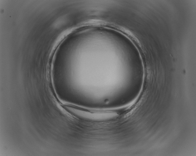 X0000073701421200608171101