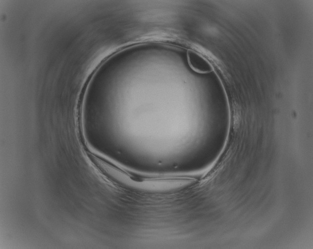 X0000073701423200608171102