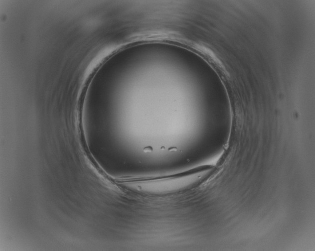 X0000073701424200608171102