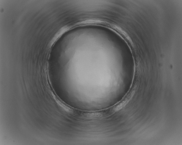 X0000073701425200608171102