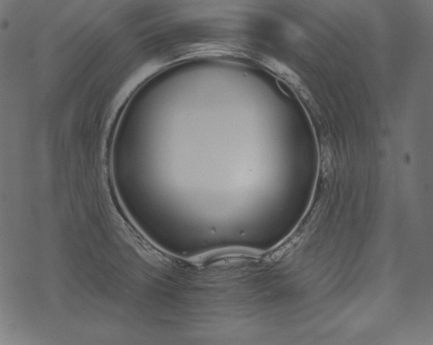 X0000073701427200608171102