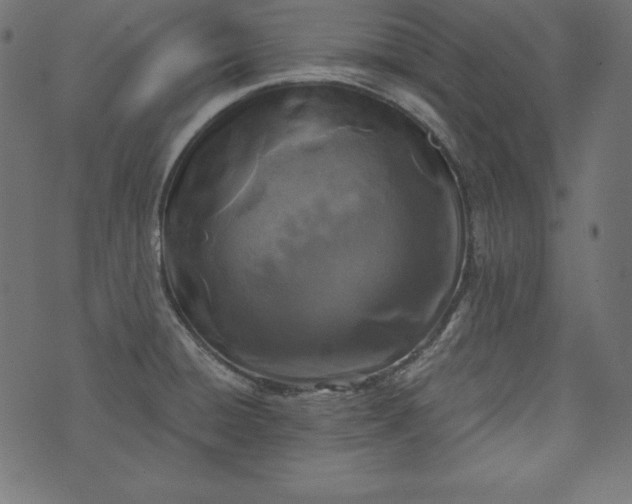 X0000073701428200608171102