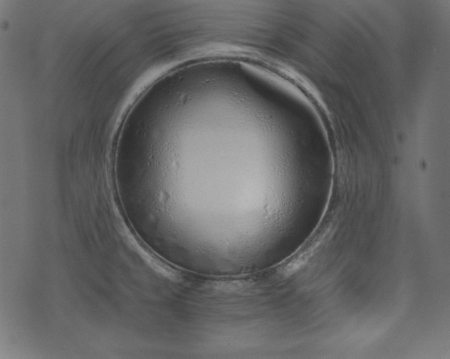 X0000073701429200608171102