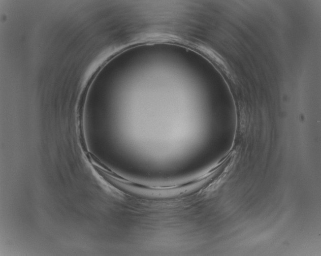 X0000073701430200608171102