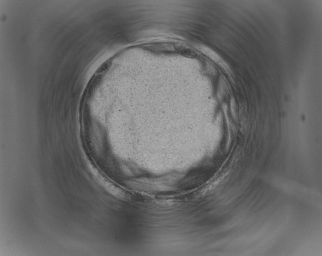 X0000073701431200608171102