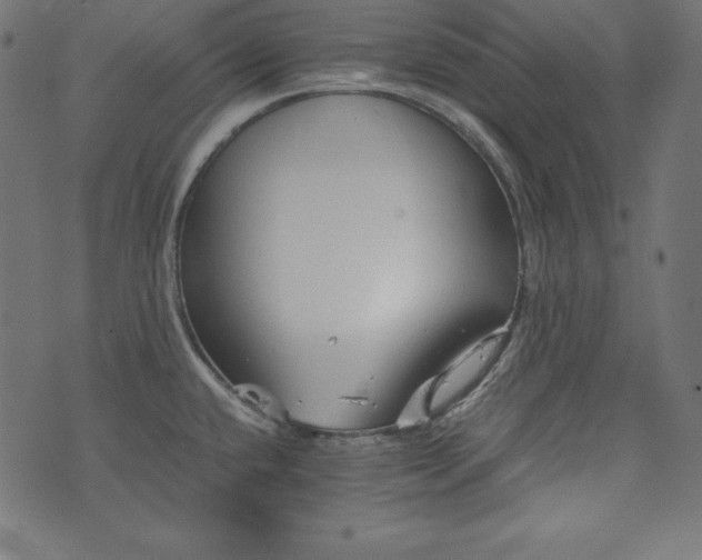 X0000073701432200608171102