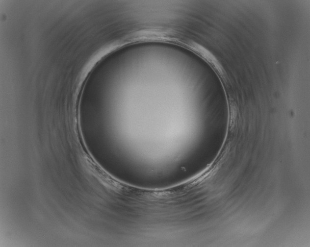 X0000073701435200608171102