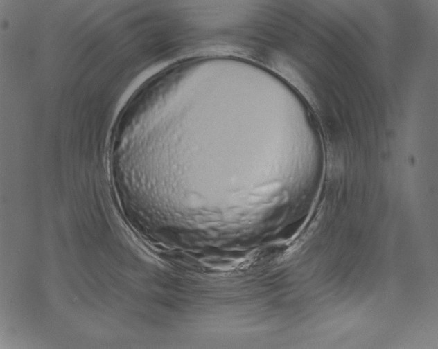 X0000073701436200608171102