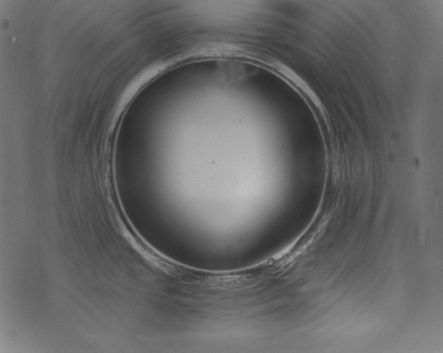 X0000073701437200608171102