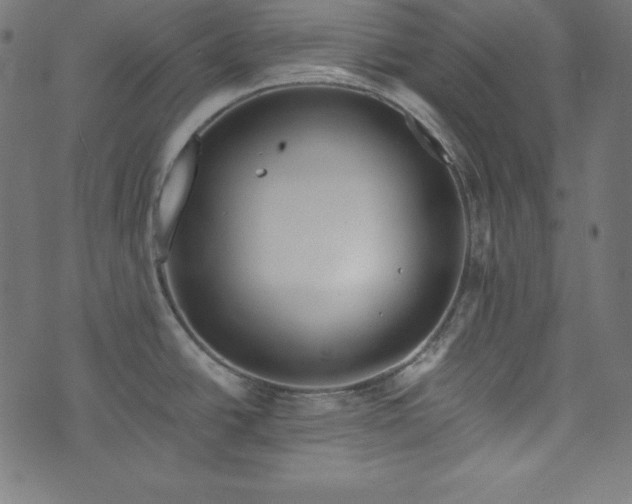 X0000073701438200608171102