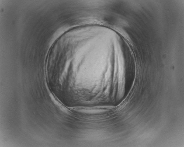 X0000073701439200608171102