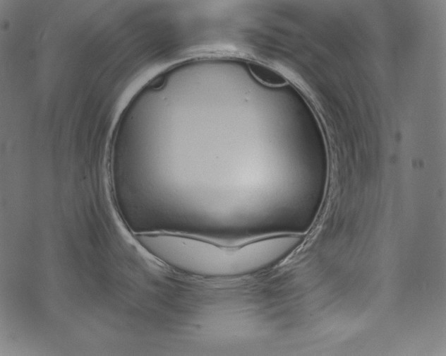 X0000073701440200608171102