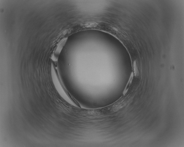 X0000073701443200608171101