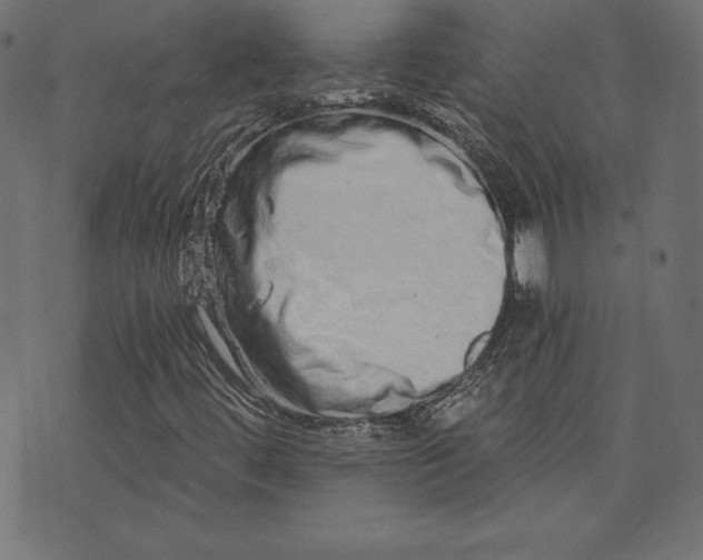 X0000073701444200608171101