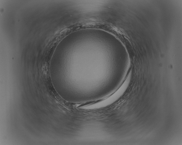 X0000073701445200608171101