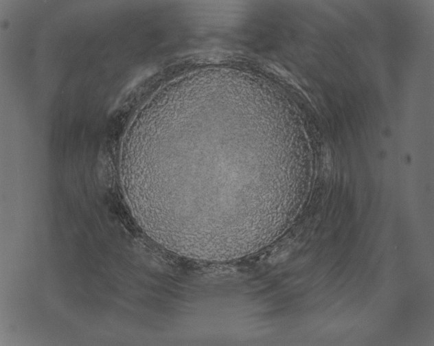 X0000073701446200608171101