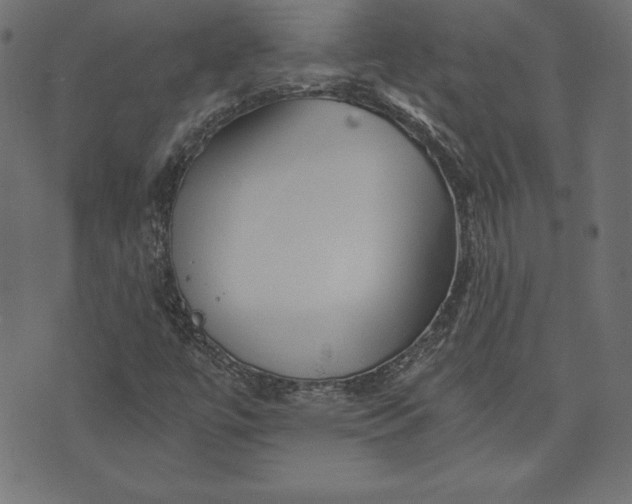 X0000073701447200608171101