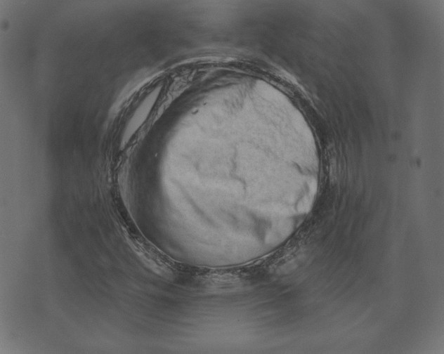 X0000073701448200608171101