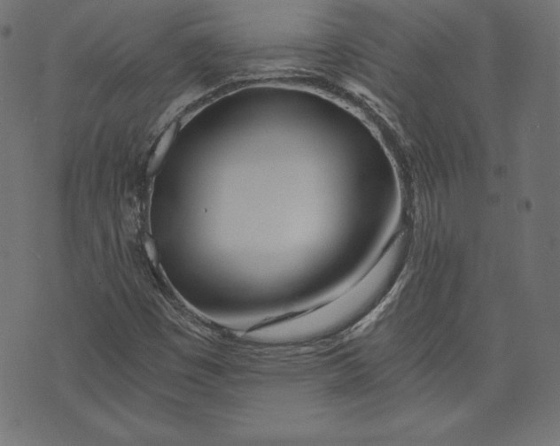 X0000073701449200608171101