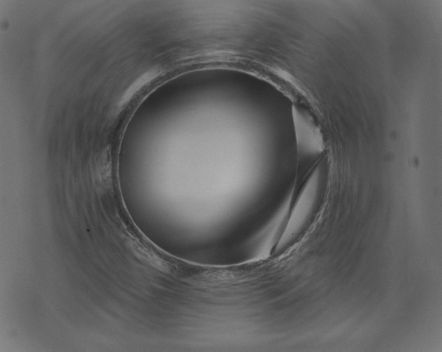 X0000073701450200608171101