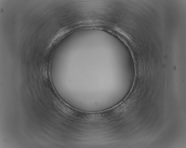 X0000073701451200608171101