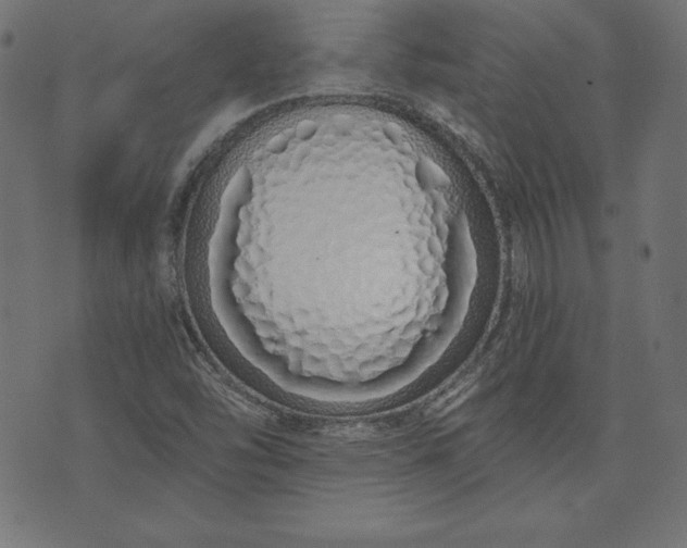 X0000073701454200608171101