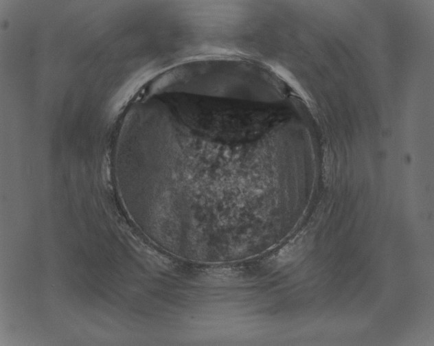 X0000073701455200608171101