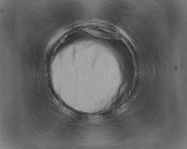 X0000073701456200608171101