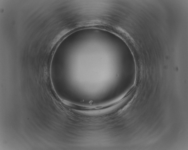 X0000073701457200608171101