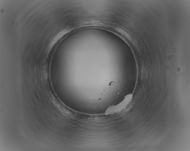 X0000073701458200608171101