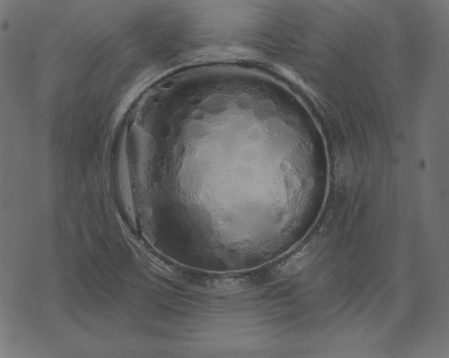 X0000073701459200608171101