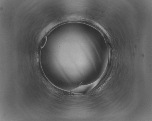 X0000073701461200608171101