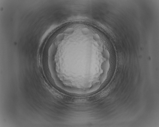 X0000073701462200608171101