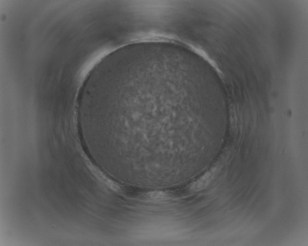 X0000073701463200608171101