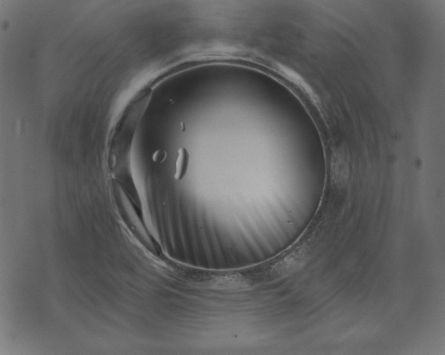 X0000073701464200608171101