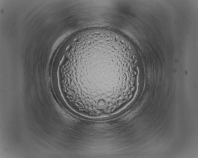 X0000073701466200608171101