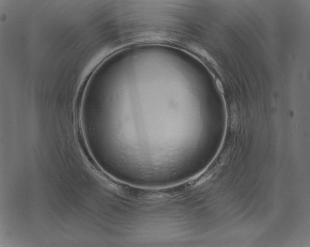 X0000073701467200608171101