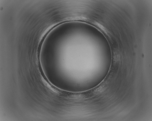 X0000073701468200608171101