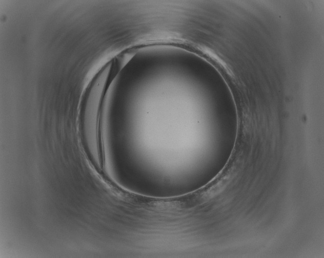 X0000073701469200608171101